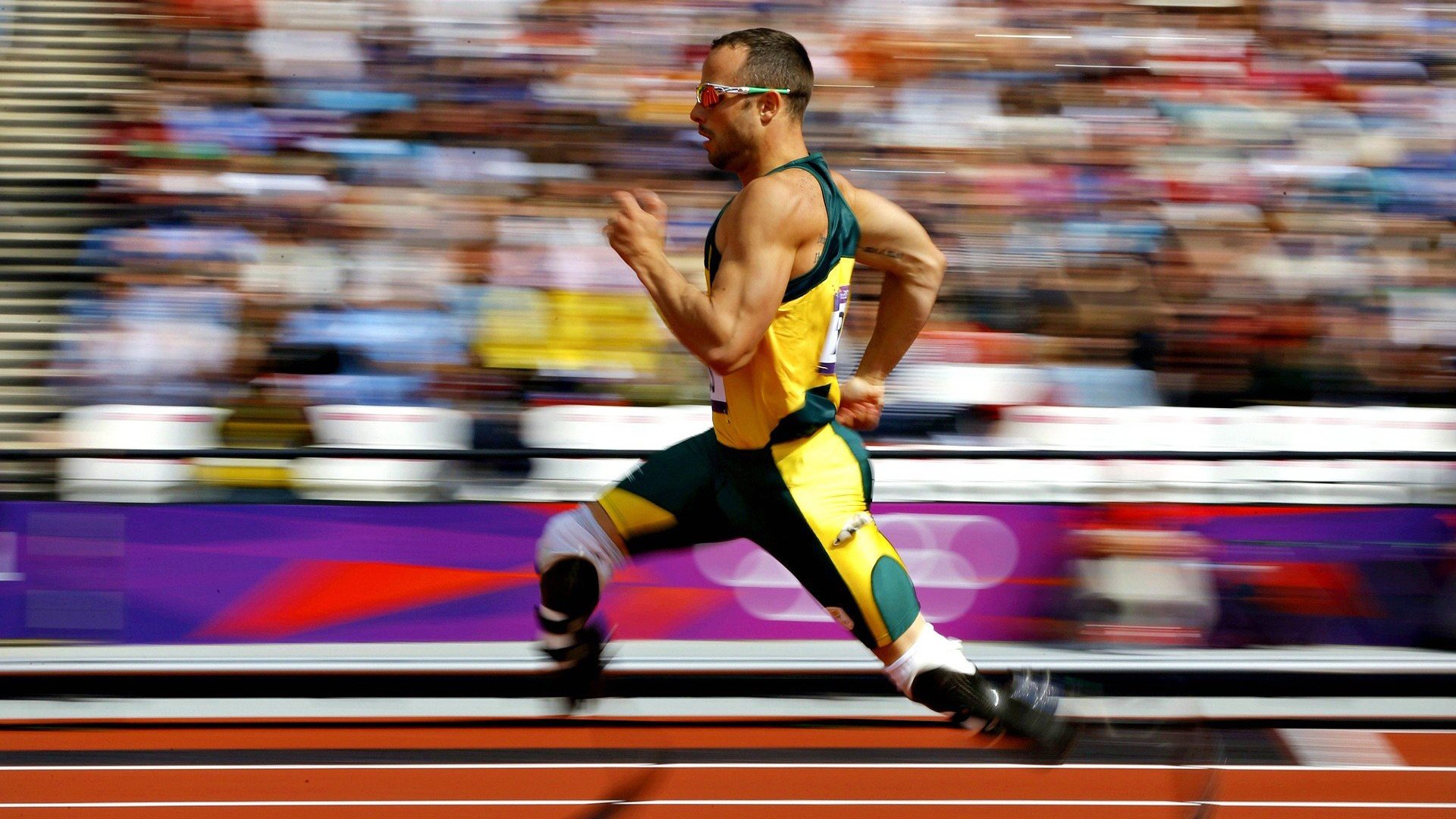 排球赛场焦点!英格兰队对阵克罗地亚队,意外判罚引发热议,比赛氛围紧张